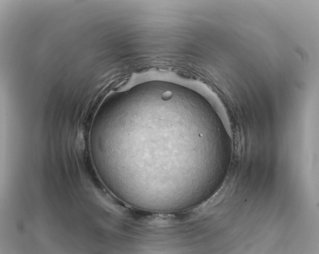 X0000111860128200907301140