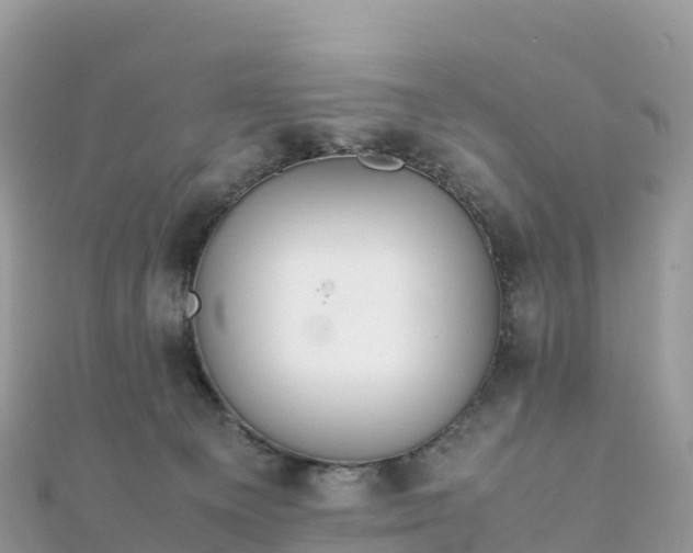 X0000111860129200907301140