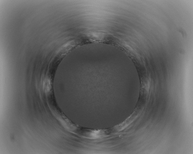 X0000111860130200907301140