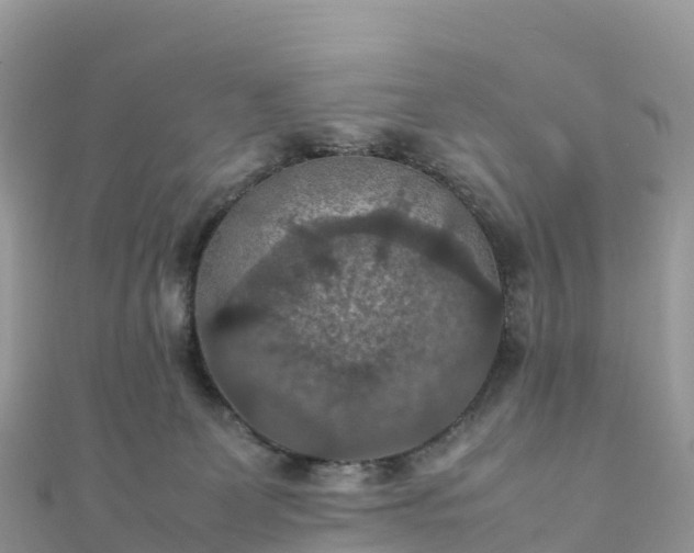 X0000111860131200907301140