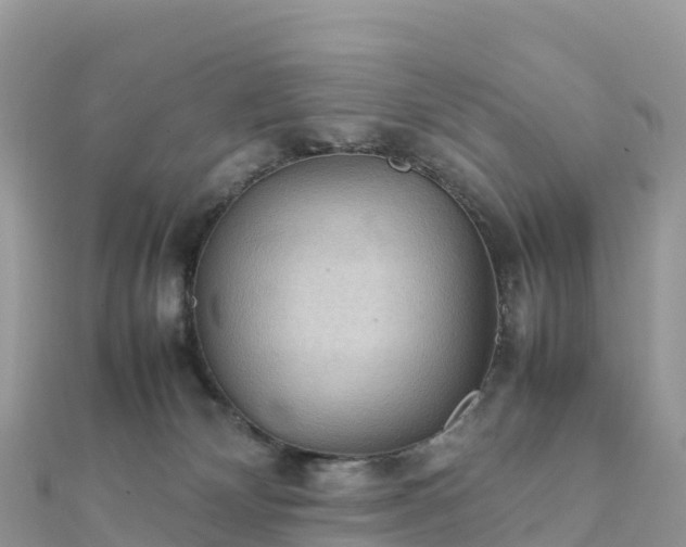 X0000111860132200907301139