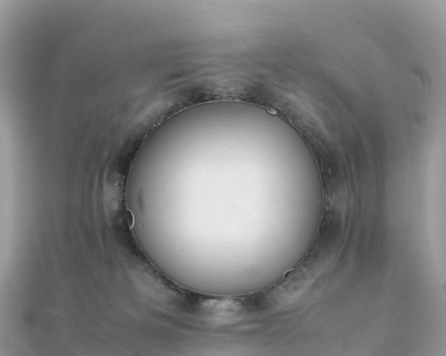 X0000111860133200907301139