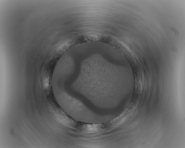 X0000111860134200907301139