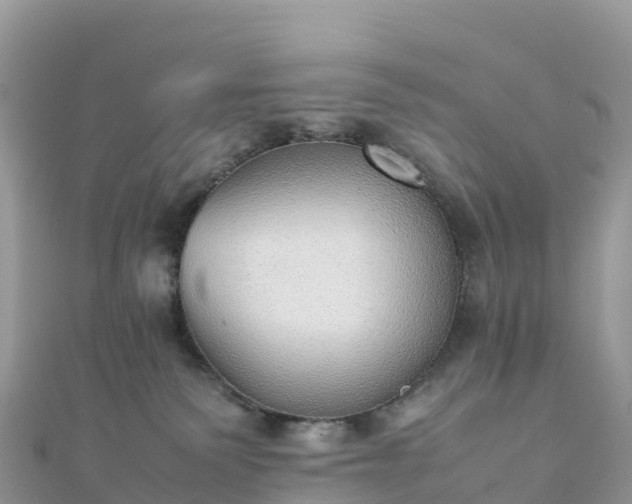 X0000111860135200907301139