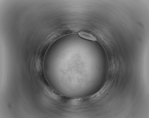 X0000111860136200907301139