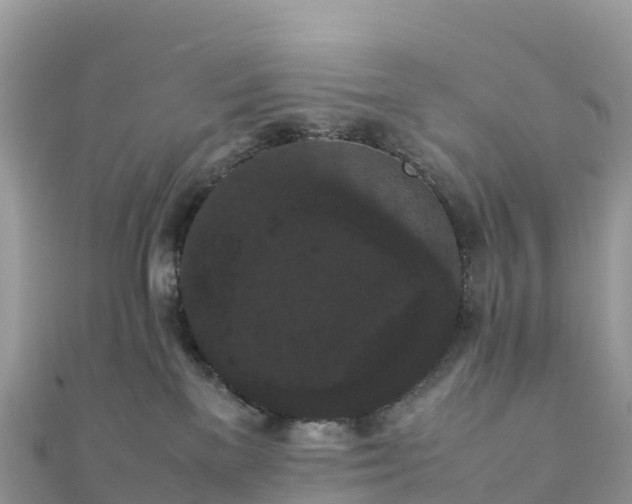 X0000111860137200907301139