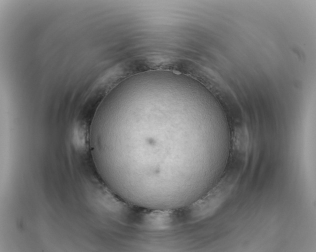 X0000111860138200907301139