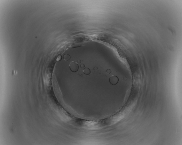 X0000111860139200907301139