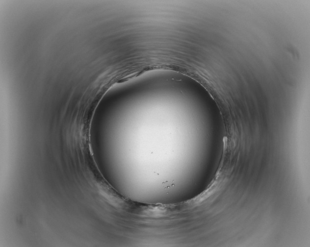 X0000111860140200907301139