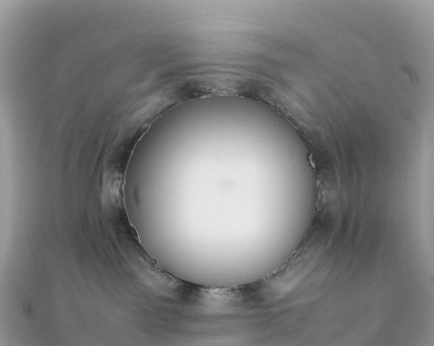 X0000111860141200907301139