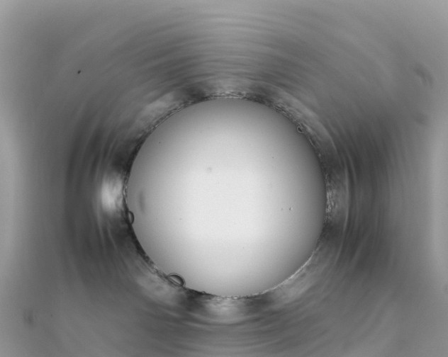 X0000111860142200907301139