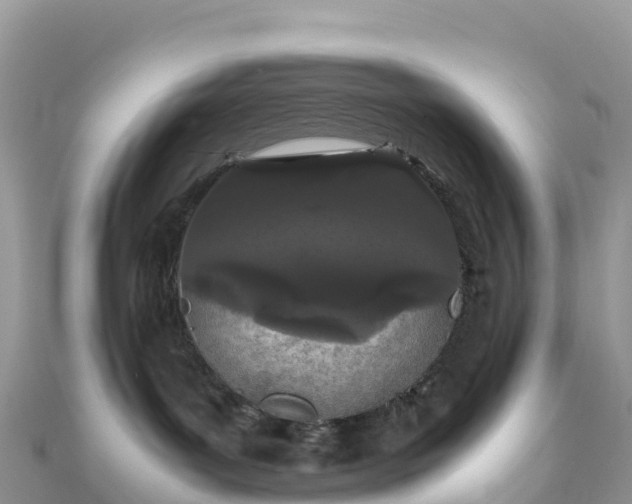 X0000111860143200907301139