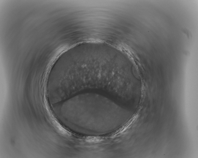 X0000111860145200907301139