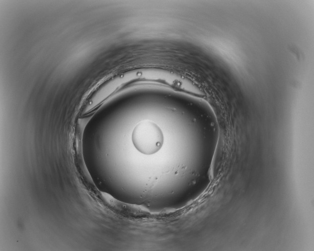 X0000111860146200907301139