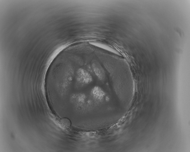 X0000111860147200907301139