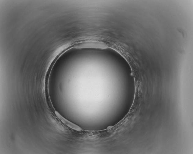 X0000111860148200907301139