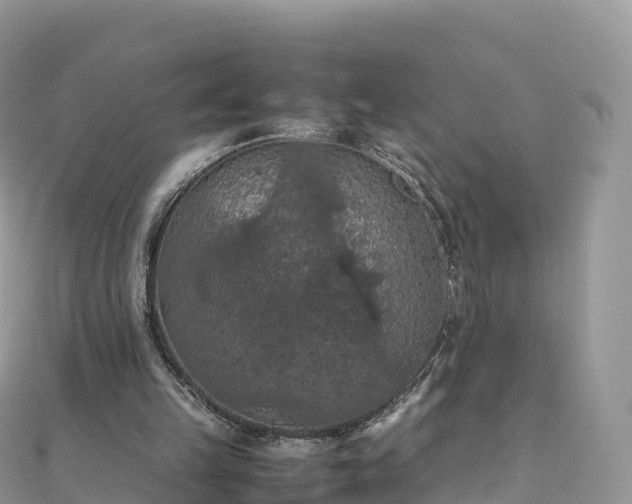 X0000111860149200907301139