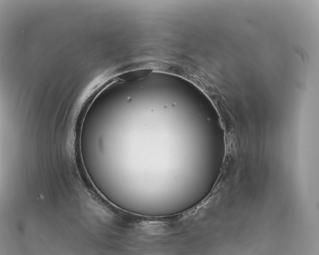 X0000111860150200907301139