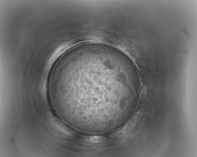 X0000111860151200907301139