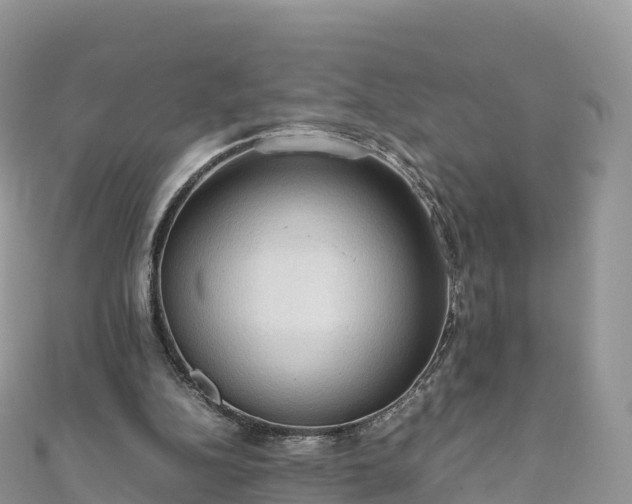 X0000111860152200907301139