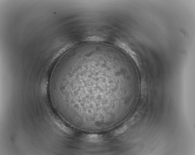 X0000111860153200907301139