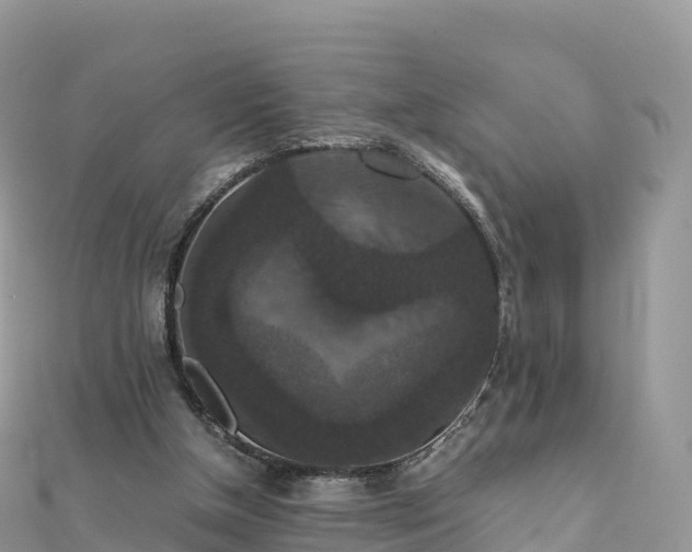 X0000111860154200907301139