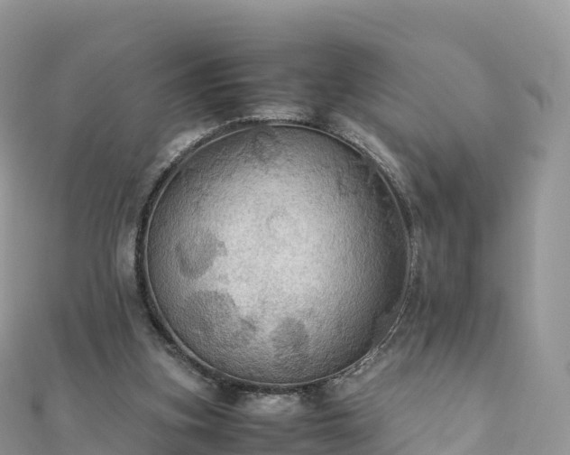 X0000111860155200907301139