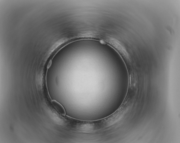 X0000111860156200907301139