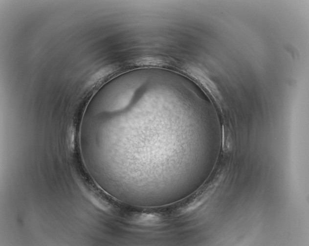 X0000111860157200907301139