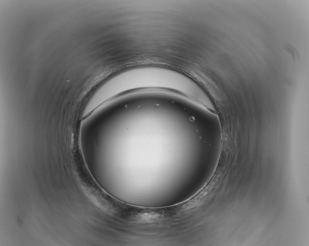 X0000111860158200907301139