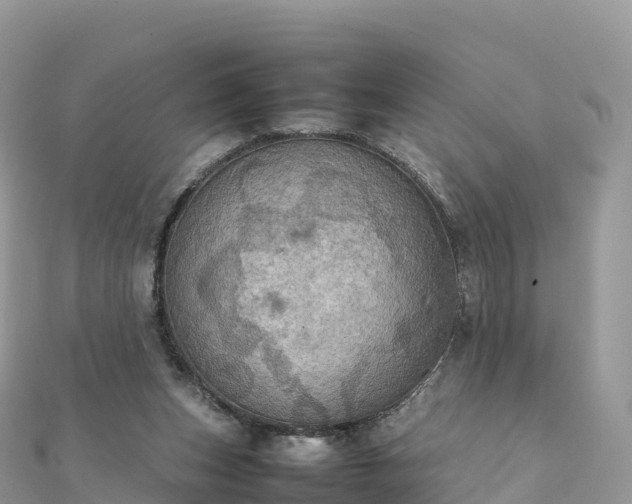 X0000111860159200907301139