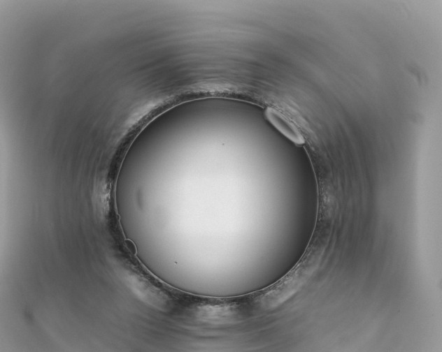 X0000111860160200907301139