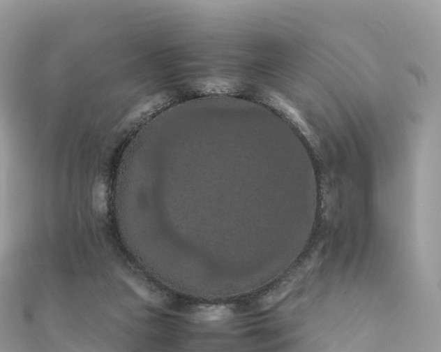 X0000111860161200907301139