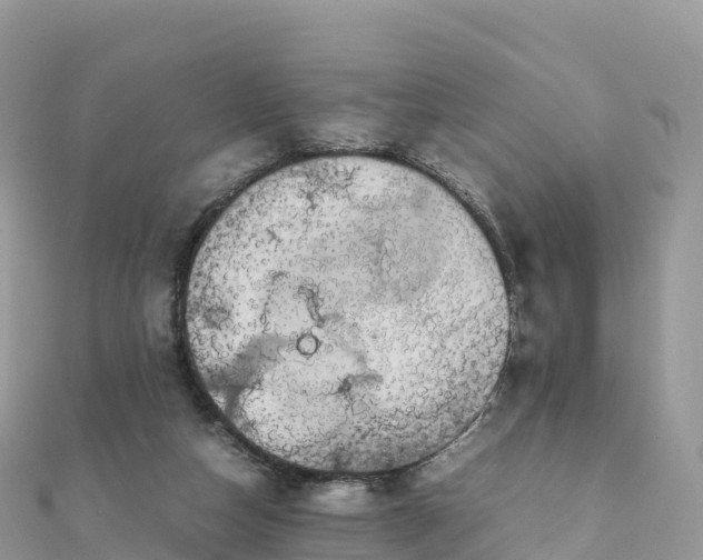 X0000111860162200907301139