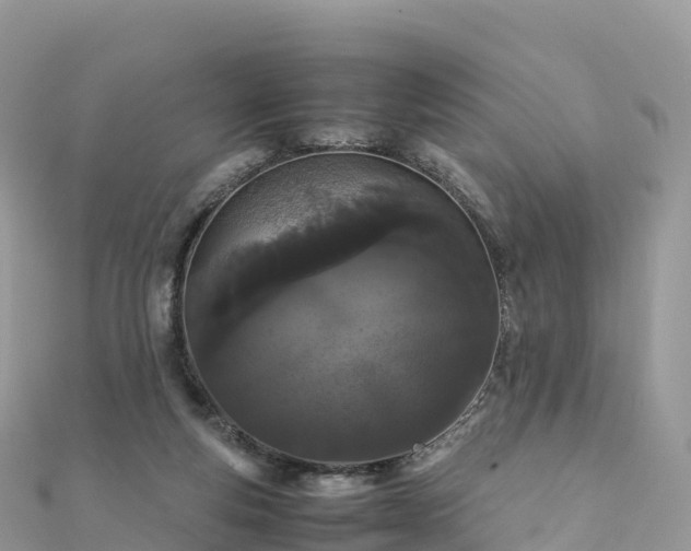 X0000111860163200907301139