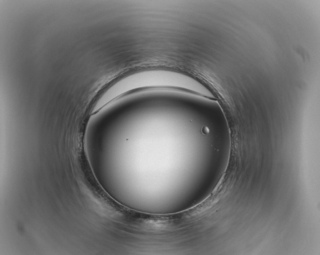 X0000111860164200907301139