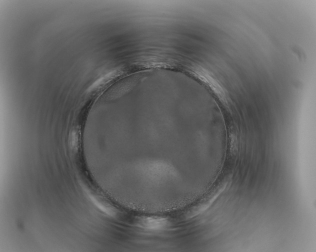 X0000111860165200907301139