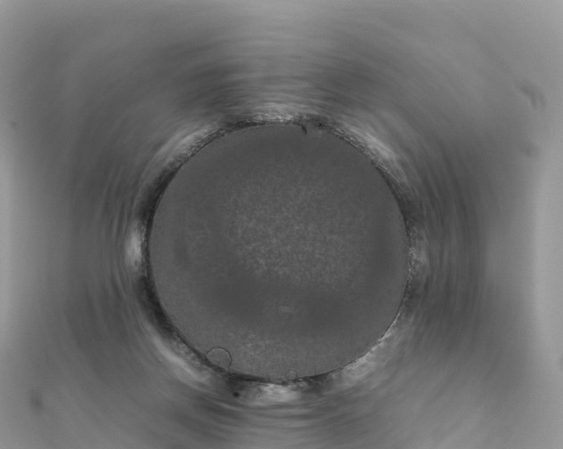 X0000111860166200907301139