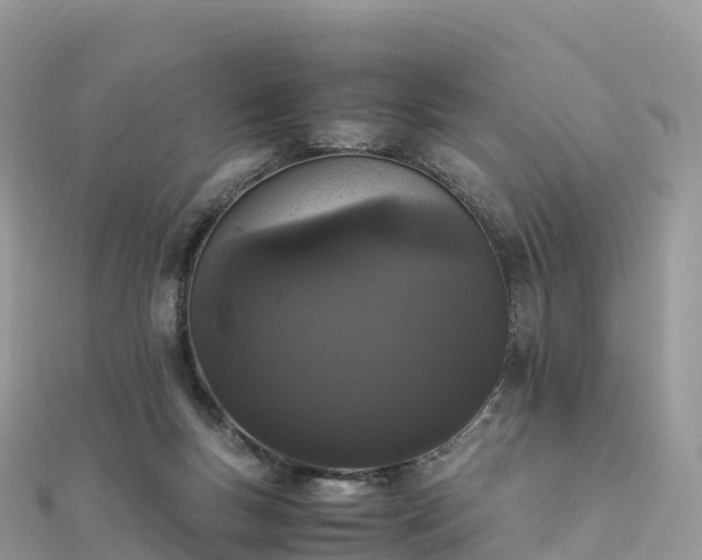 X0000111860167200907301139