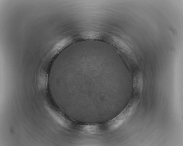 X0000111860168200907301139