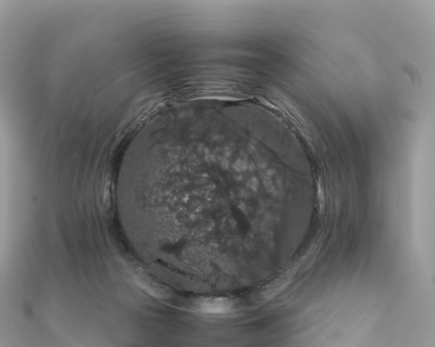 X0000111860169200907301139