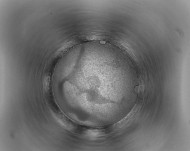 X0000111860171200907301139