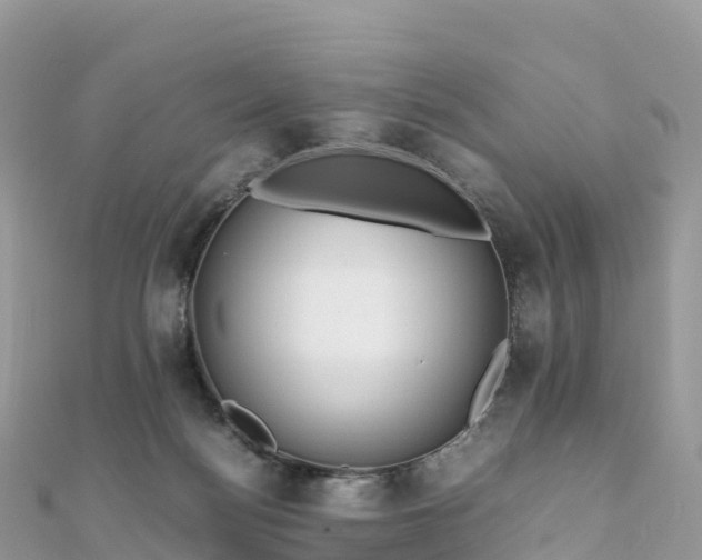 X0000111860172200907301139