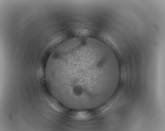 X0000111860173200907301139