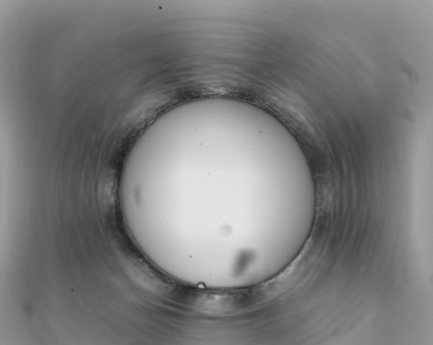 X0000111860174200907301139