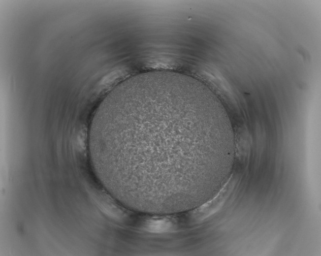 X0000111860175200907301139