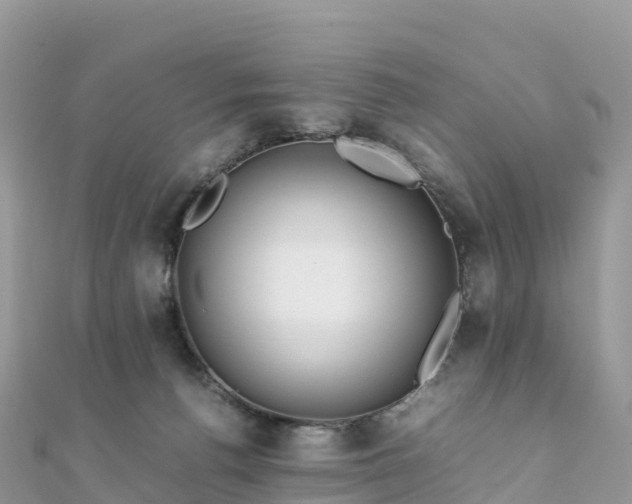 X0000111860176200907301139