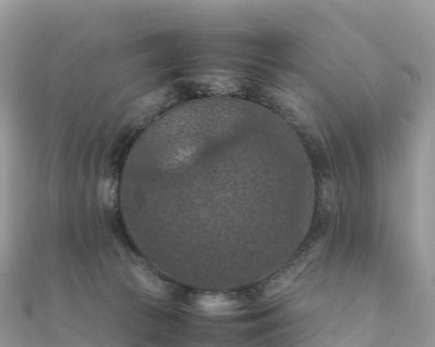 X0000111860177200907301139