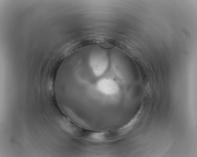 X0000111860178200907301139