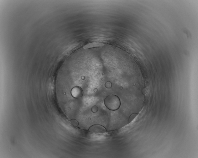 X0000111860179200907301139